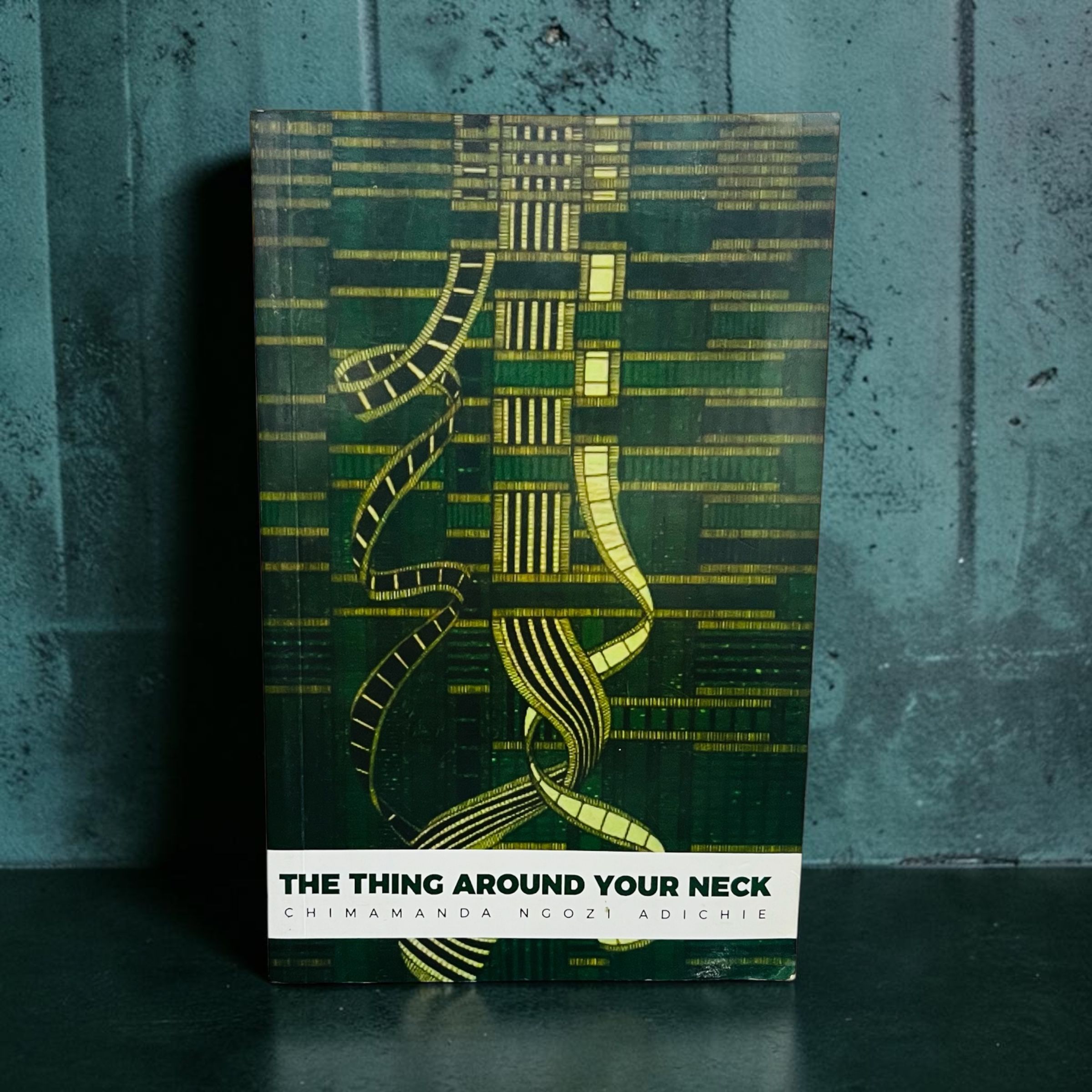 THINGS AROUND YOUR NECK NOVEL